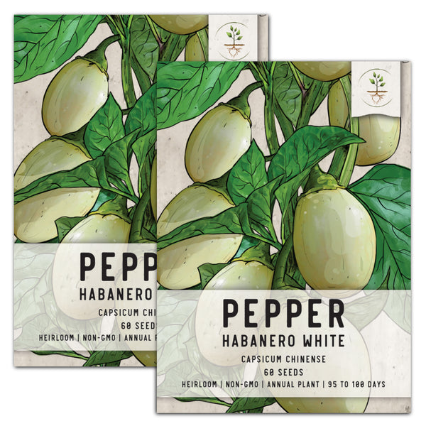 White Habanero Pepper Seeds For Planting (Capsicum chinense)