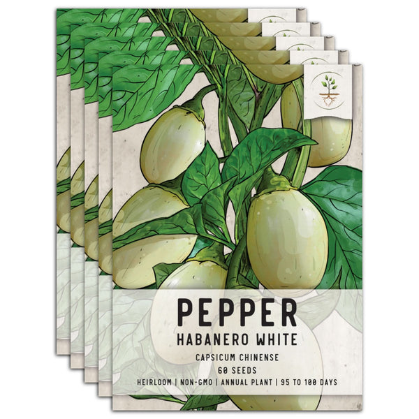 White Habanero Pepper Seeds For Planting (Capsicum chinense)