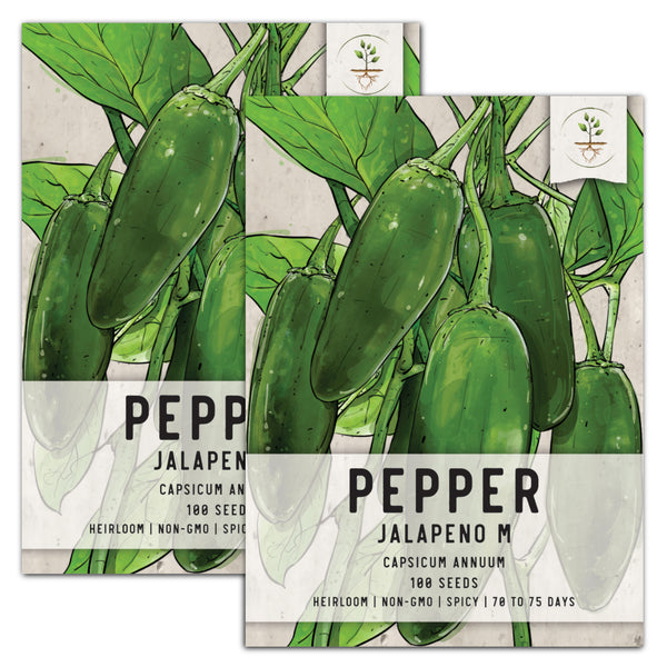 Jalapeño M Hot Pepper Seeds For Planting (Capsicum annuum)