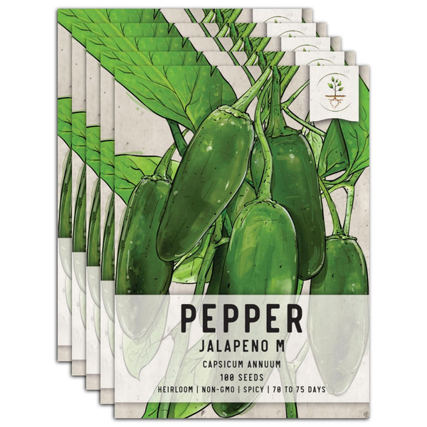 Jalapeño M Hot Pepper Seeds For Planting (Capsicum annuum)