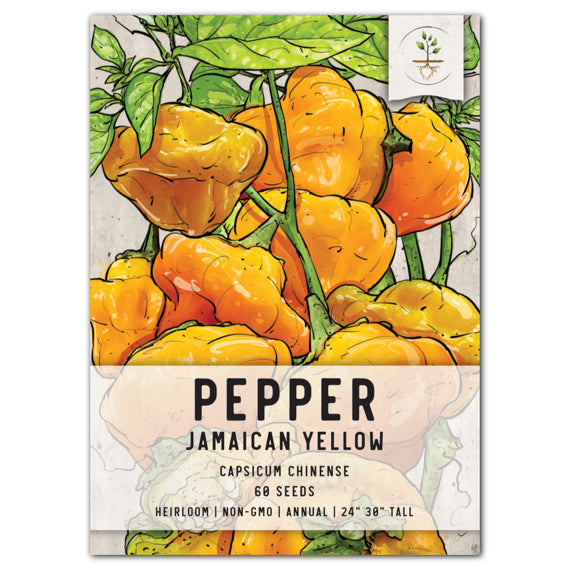 Yellow Jamaican Hot Pepper Seeds For Planting (Capsicum chinense)