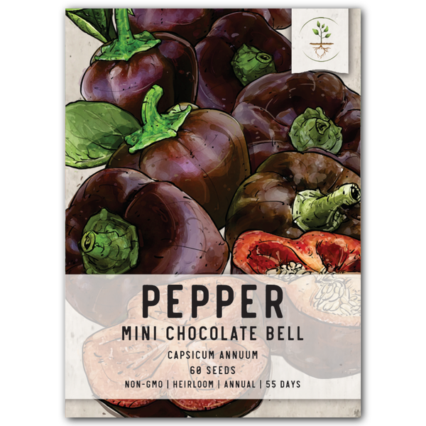 planting mini bell pepper seeds Mini Chocolate Bell Pepper Seeds For Planting