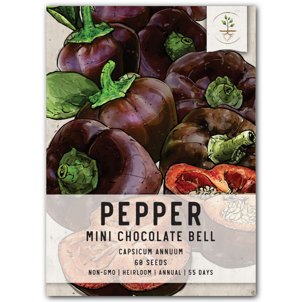 Miniature Chocolate Bell Pepper Seeds For Planting (Capsicum annuum)