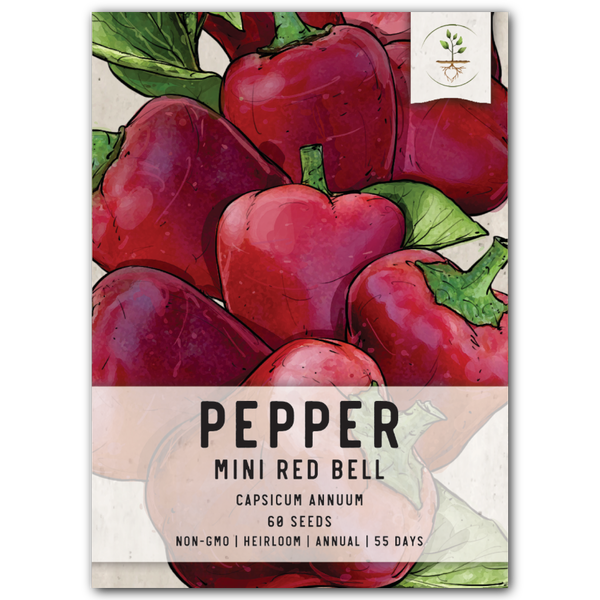 miniature red bell pepper seeds for planting