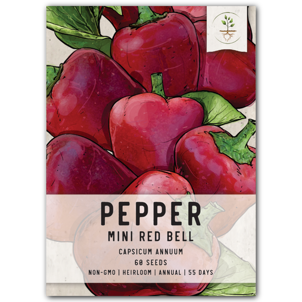 Miniature Red Bell Pepper Seeds For Planting (Capsicum annuum)