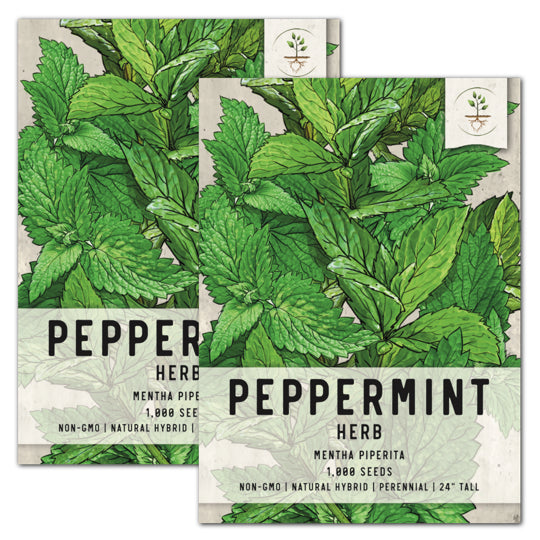 Peppermint Herb Seeds For Planting (Mentha piperita)