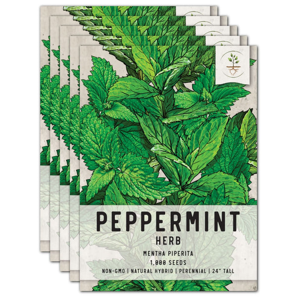 Peppermint Herb Seeds For Planting (Mentha piperita)