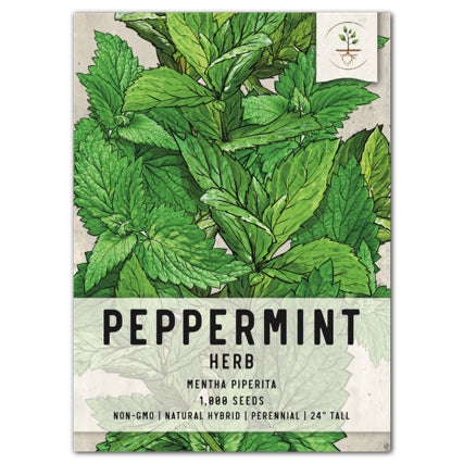 peppermint seeds for planting