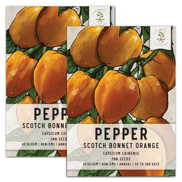 Orange Scotch Bonnet Pepper Seeds For Planting (Capsicum chinense)