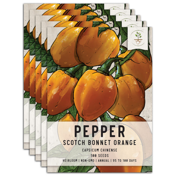 Orange Scotch Bonnet Pepper Seeds For Planting (Capsicum chinense)