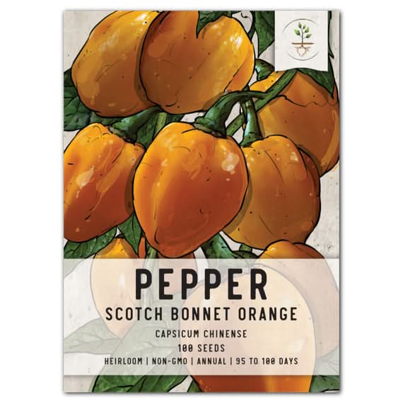 Orange Scotch Bonnet Pepper Seeds For Planting (Capsicum chinense)