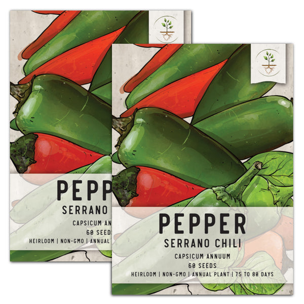Serrano Chili Pepper Seeds For Planting (Capsicum annuum)