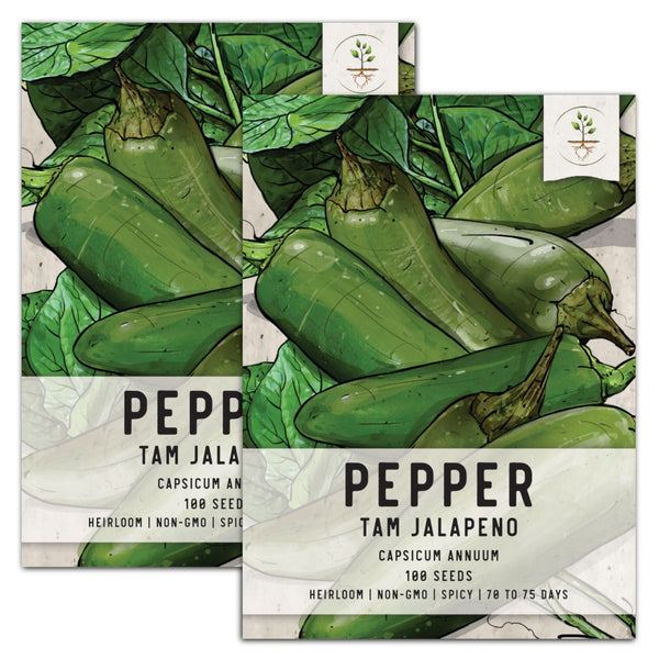 TAM jalapeño Pepper Seeds For Planting (Capsicum annuum)