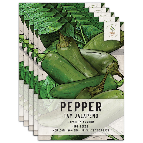 TAM jalapeño Pepper Seeds For Planting (Capsicum annuum)