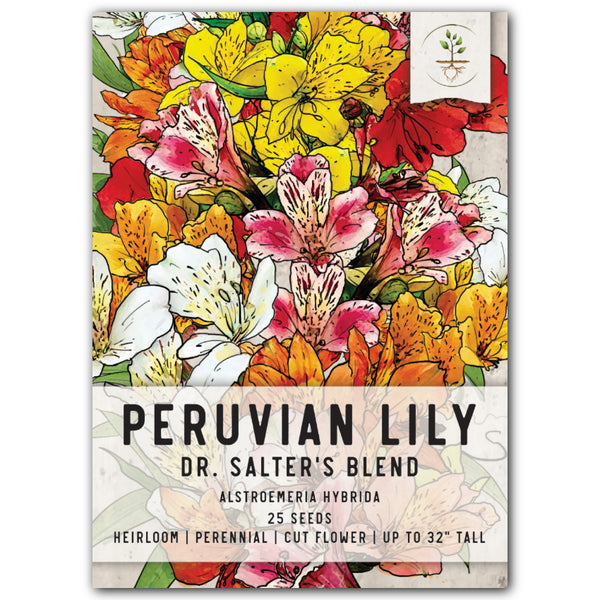 Peruvian Lily Seeds For Planting, Dr. Salters Mixture (Alstroemeria hybrida)
