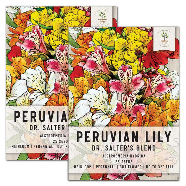 Peruvian Lily Seeds For Planting, Dr. Salters Mixture (Alstroemeria hybrida)