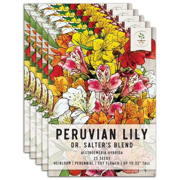 Peruvian Lily Seeds For Planting, Dr. Salters Mixture (Alstroemeria hybrida)