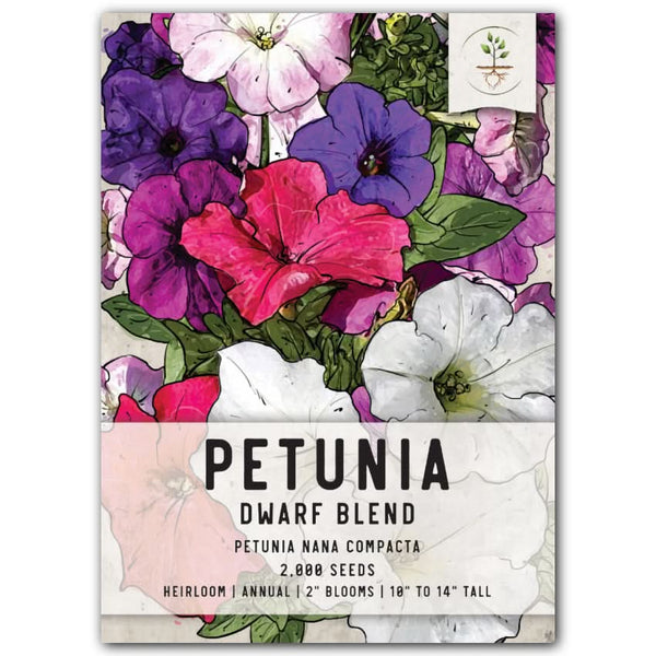 plant petunia seeds Dwarf Mixed Petunia Seeds For Planting (Petunia nana compacta) – Seed Needs LLC