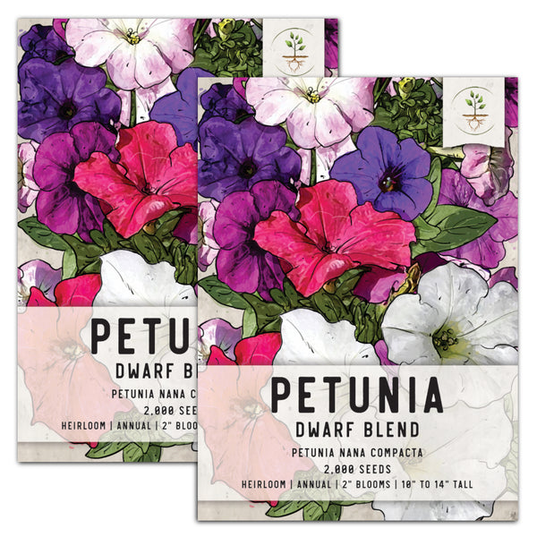 Dwarf Mixed Petunia Seeds For Planting (Petunia nana compacta)