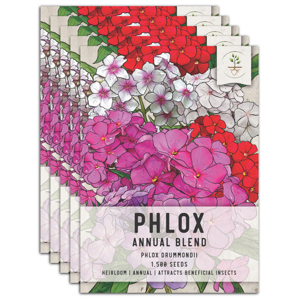 Annual Phlox Mixture (Phlox drummondii)