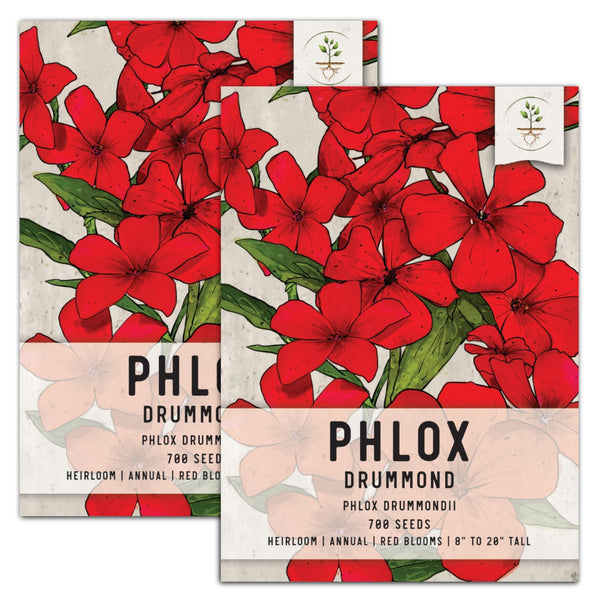 Red Drummond Phlox Seeds For Planting (Phlox Drummondii)