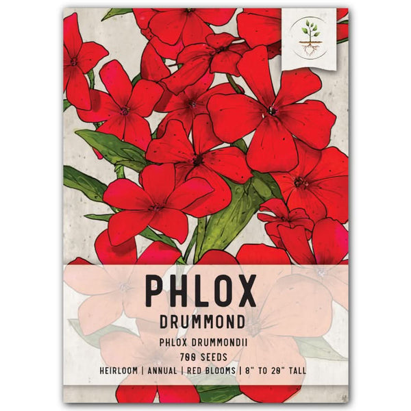 Red Drummond Phlox Seeds For Planting (Phlox Drummondii)