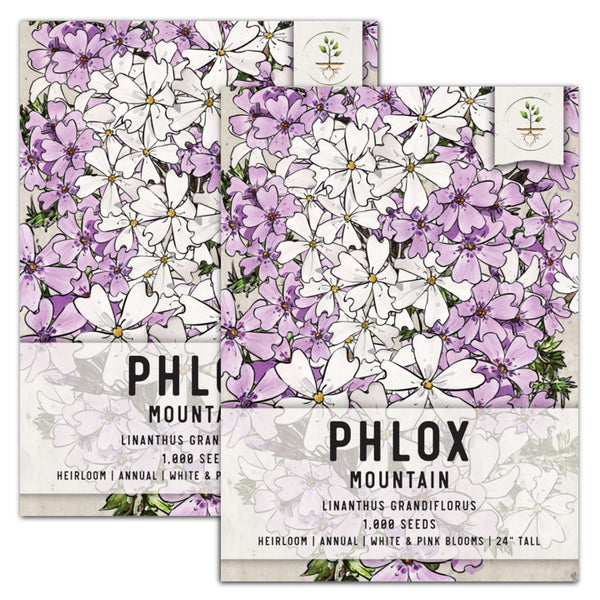 mountain phlox seeds for planting