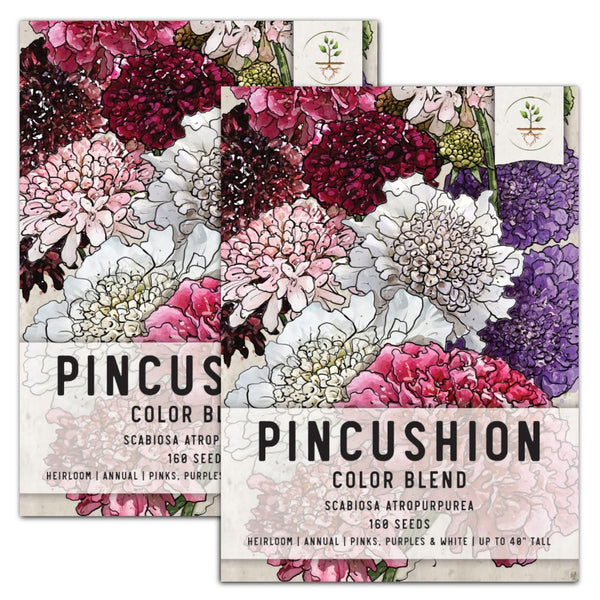 Pincushion Mixture (Scabiosa atropurpurea)