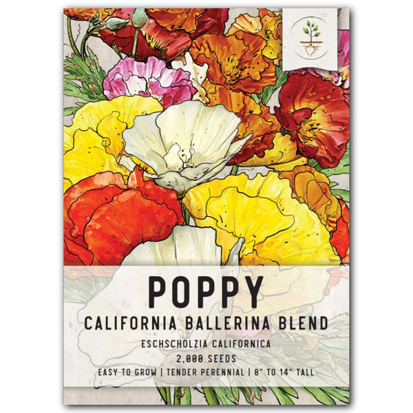 Ballerina Blend California Poppy Seeds For Planting (Eschscholzia californica)