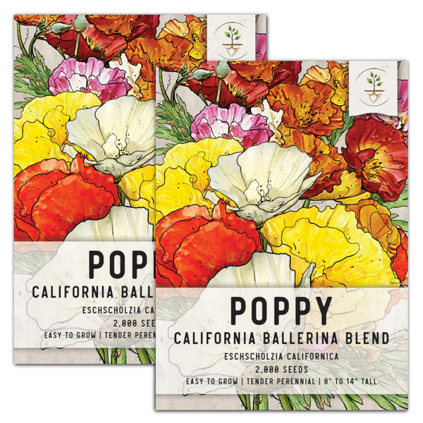 Ballerina Blend California Poppy Seeds For Planting (Eschscholzia californica)