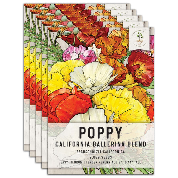 Ballerina Blend California Poppy Seeds For Planting (Eschscholzia californica)