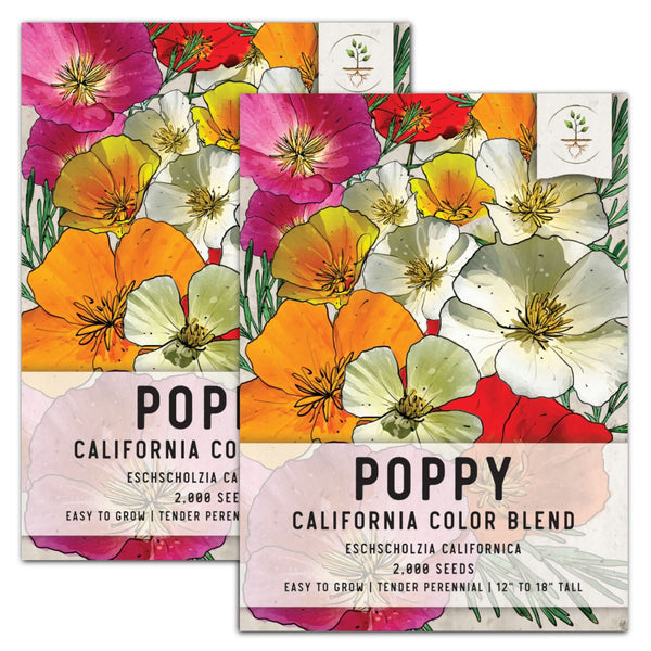 Mixed California Poppy Seeds For Planting (Eschscholzia californica)