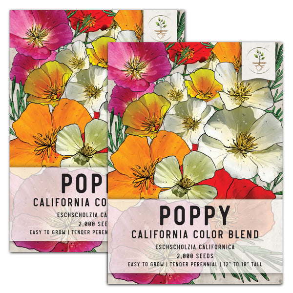 Mixed California Poppy Seeds For Planting (Eschscholzia californica)