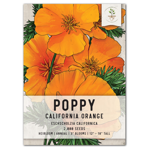 Orange California Poppy Seeds For Planting (Eschscholzia californica)