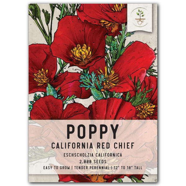 Red Chief California Poppy Seeds For Planting (Eschscholzia californica)