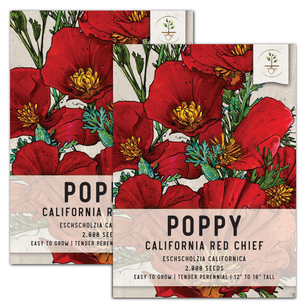 Red Chief California Poppy Seeds For Planting (Eschscholzia californica)