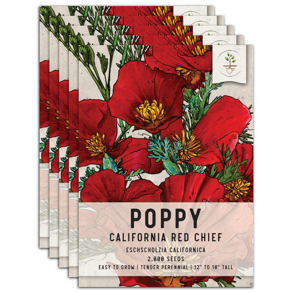 Red Chief California Poppy Seeds For Planting (Eschscholzia californica)