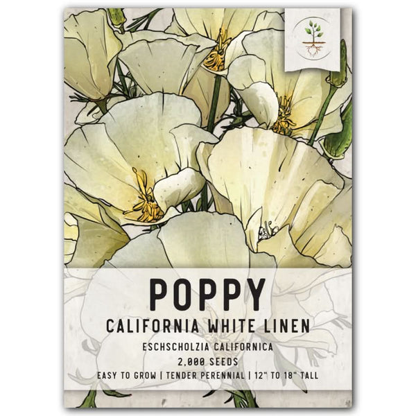 White Linen California Poppy Seeds For Planting (Eschscholzia californica)