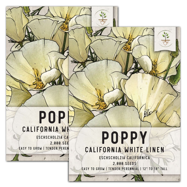 White Linen California Poppy Seeds For Planting (Eschscholzia californica)