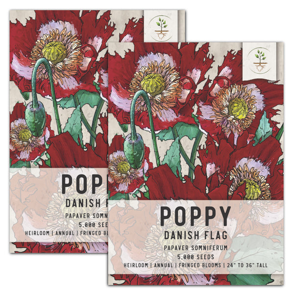 Danish Flag Poppy Seeds For Planting (Papaver somniferum)