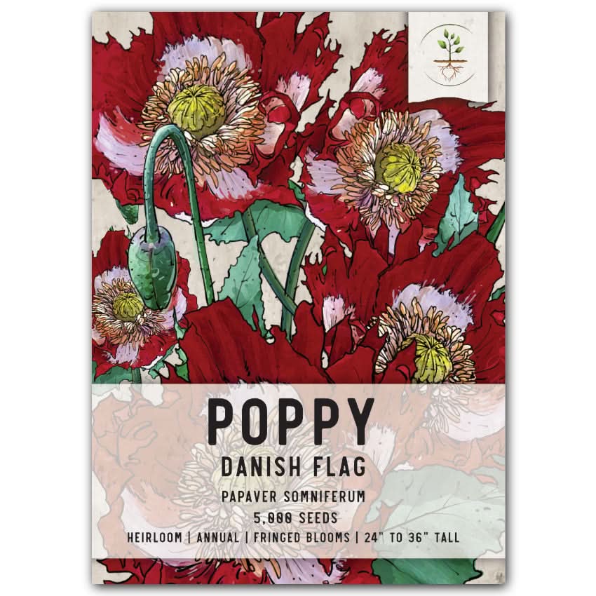 Danish Flag Poppy Seeds For Planting (Papaver somniferum)