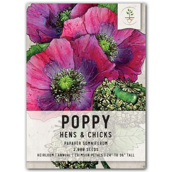 hens and chicks poppy seeds for planting