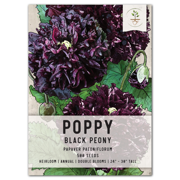 Peony Poppy Seed Collection