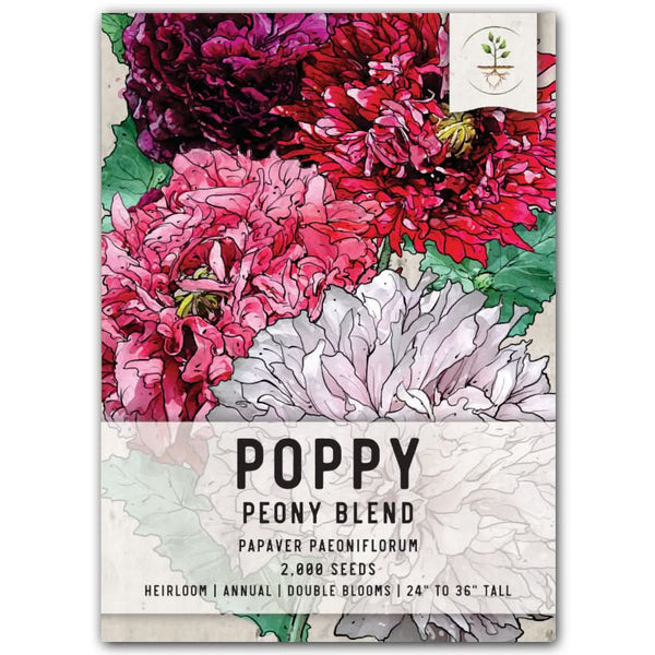 Double Blend Peony Poppy Seeds For Planting (Papaver paeoniflorum)