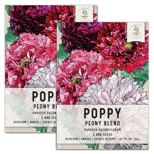 Double Blend Peony Poppy Seeds For Planting (Papaver paeoniflorum)