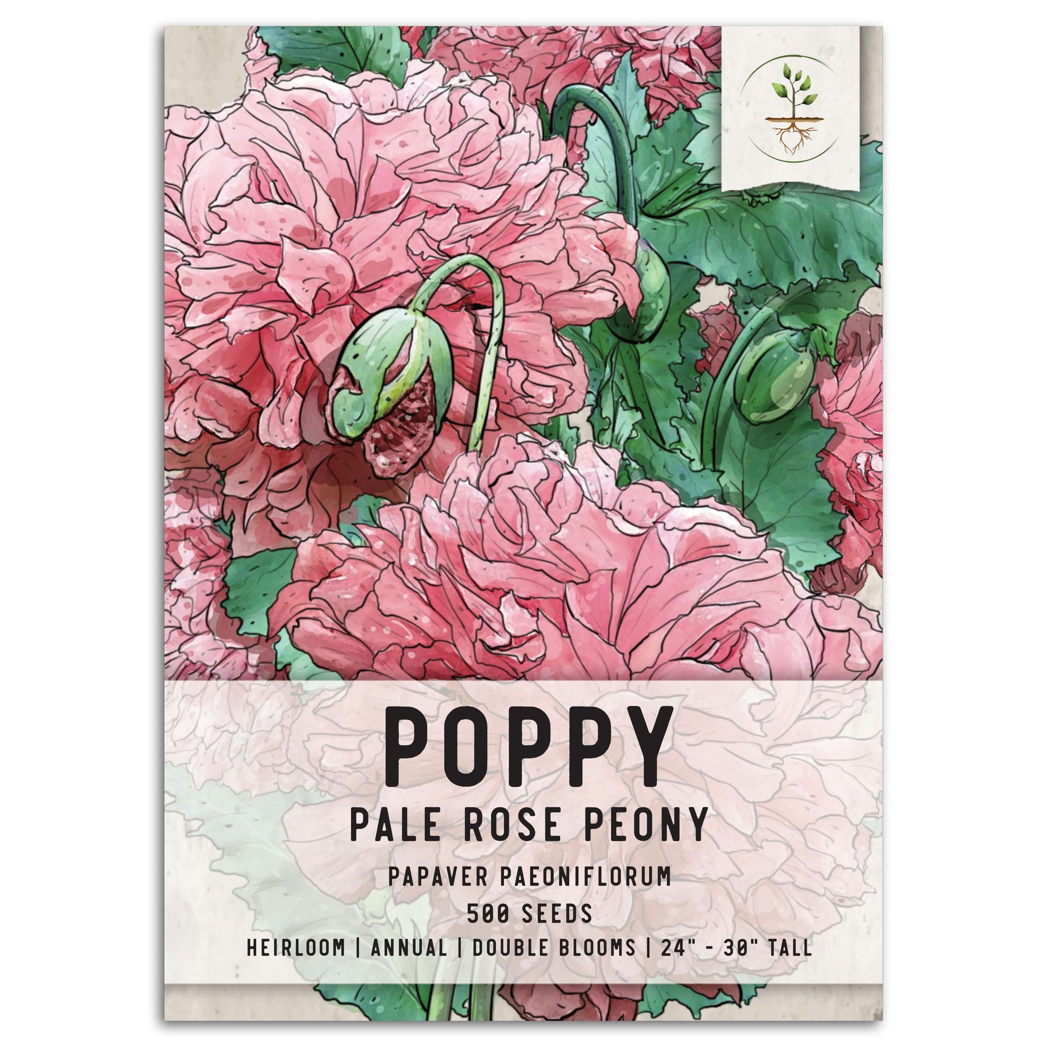Pale Rose Peony Poppy Seeds For Planting (Papaver paeoniflorum)