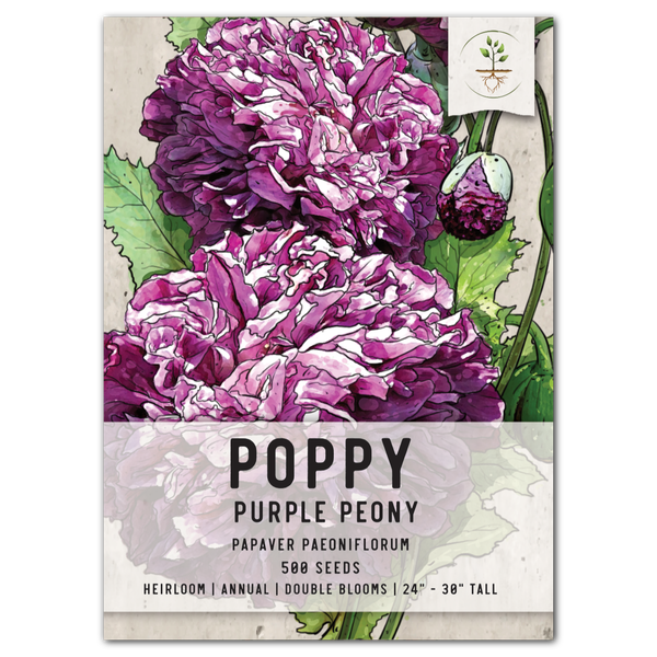 Peony Poppy Seed Collection