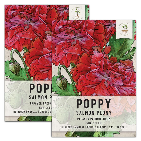 Salmon Peony Poppy Seeds For Planting (Papaver paeoniflorum)