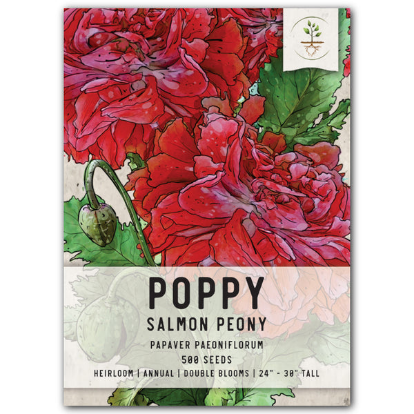Salmon Peony Poppy Seeds For Planting (Papaver paeoniflorum)