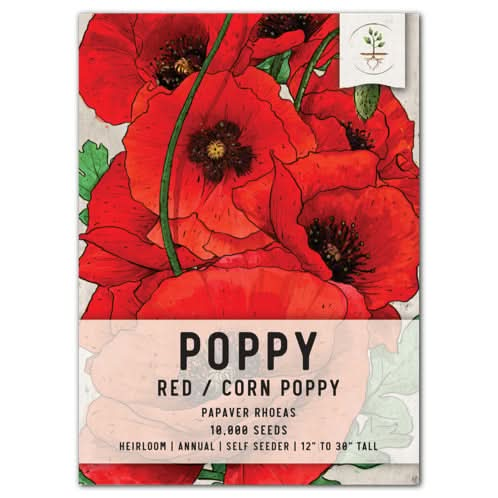 Corn Poppy Seeds For Planting / Red Poppy (Papaver rhoeas)